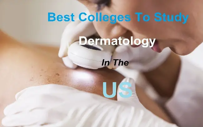 Best Colleges For Dermatology