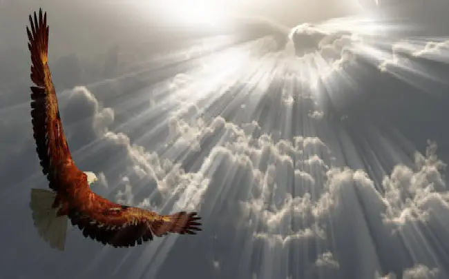 The Eagle And The Sun
