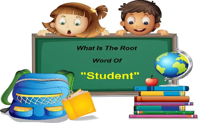 Root Word Of Student